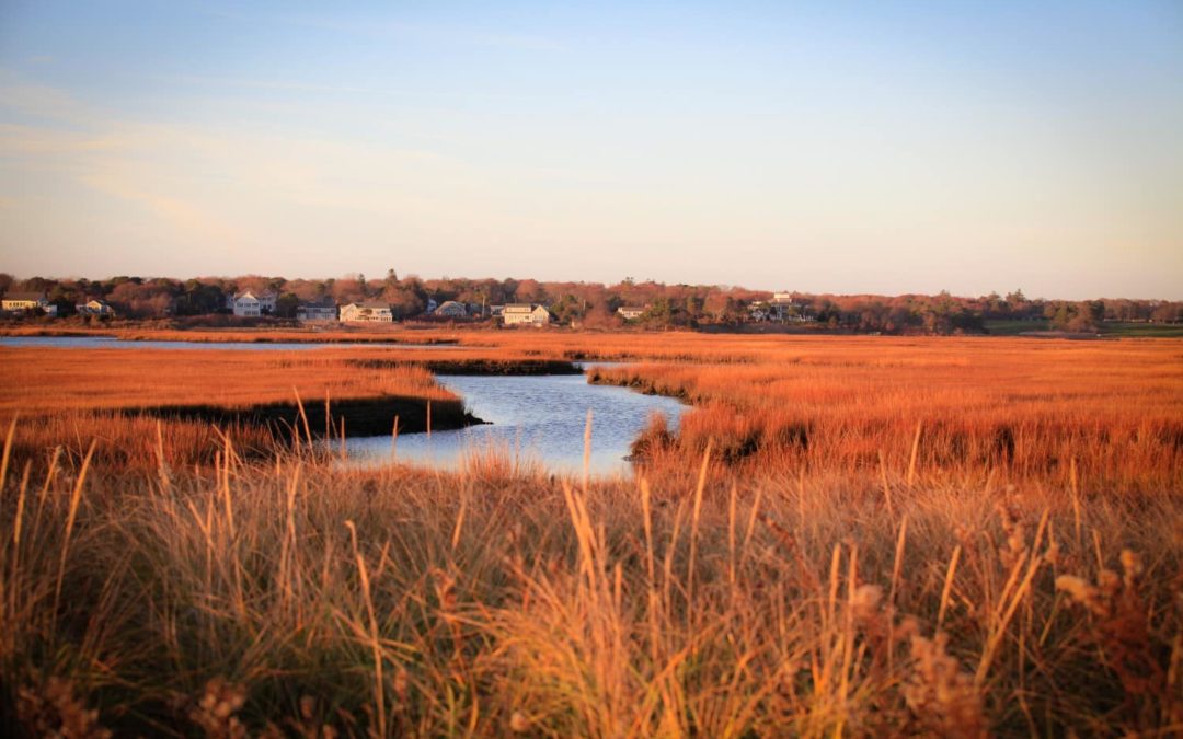 Fall Cleanup – A good time to check the homestead!