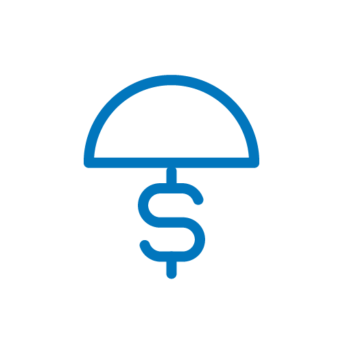 Icon of an umbrella sheltering a dollar sign